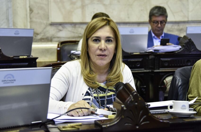  Beatriz Ávila: «La situación del sistema de salud provincial es preocupante»