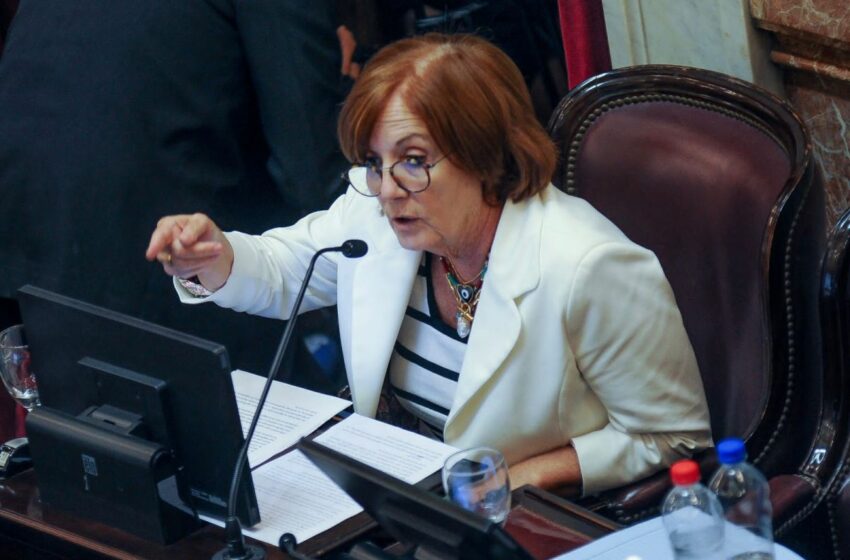  Senadora que rompió con el Frente de Todos afirmó que Alberto Fernández «no tiene ninguna chance de ser reelecto»
