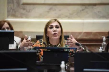 La senadora Ávila pidió que se cite a Vizzotti al Senado