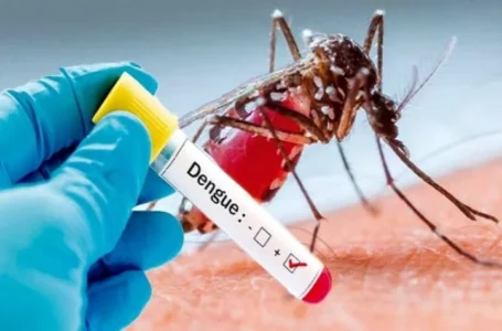 El extraordinario aumento de casos de dengue que enciende la alarma en todo el país