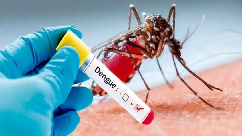  El extraordinario aumento de casos de dengue que enciende la alarma en todo el país