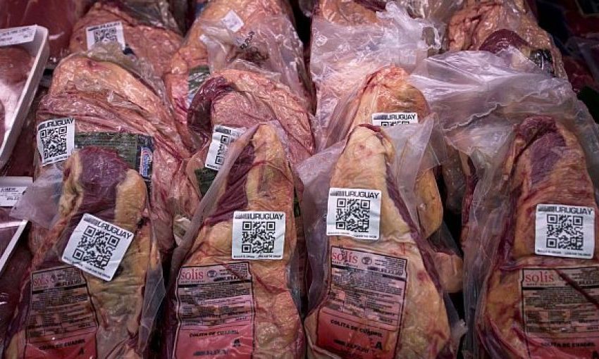  La Nación confirmó la apertura de dos mercados para la exportación de carne y genética bovina