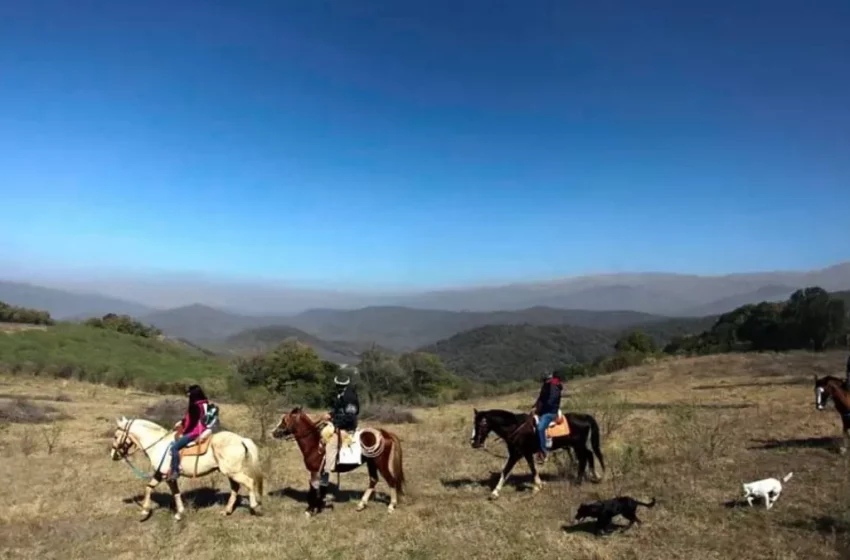  Turismo en Tucumán: hubo ocupación plena en algunos destino