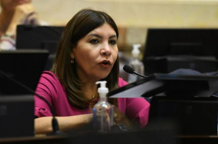  Sandra Mendoza: “No está en el ánimo de los senadores poner palos en la rueda”