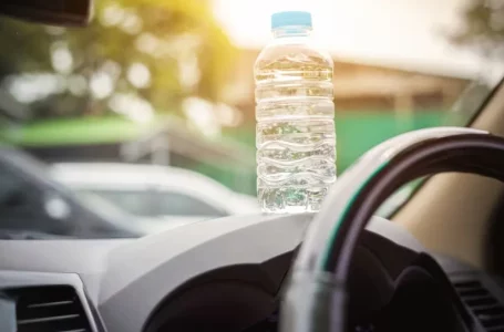 Calor y cielo mayormente despejado: así estará el tiempo este lunes en Tucumán