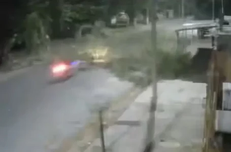 Un video registró el terrible impacto de una motocicleta contra un árbol que cae sobre una calle de Monteros