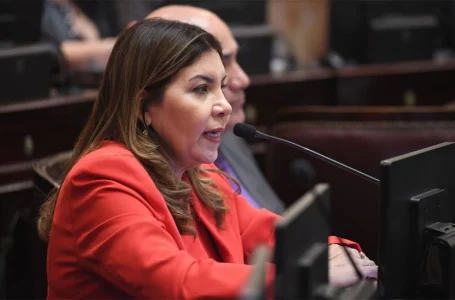 Sandra Mendoza: “Vamos a darle discusión y debatir cada ley, punto por punto”