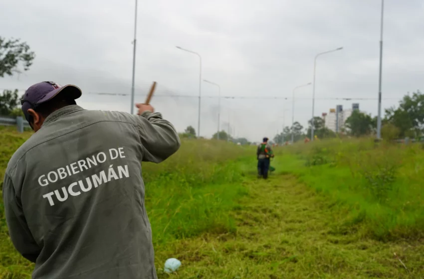  Aplican un plan de seguridad y limpieza en la autopista de Circunvalación