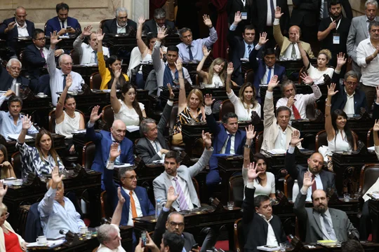  Por 142 votos afirmativos y 106 negativos, se aprobó en general la Ley de Bases en la cámara de diputados