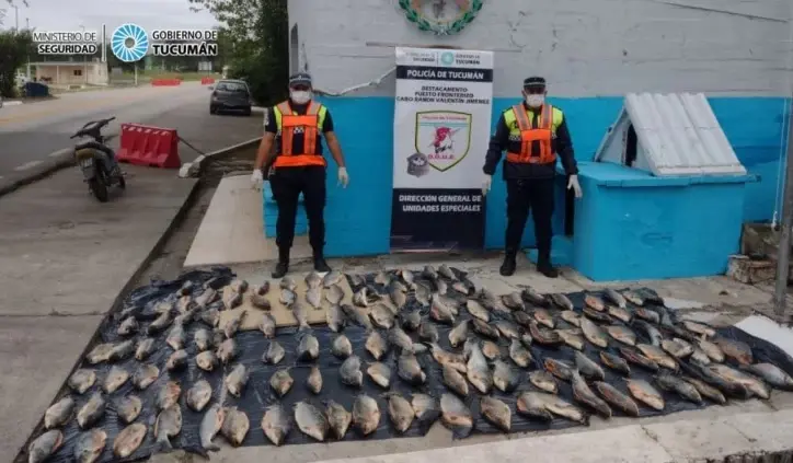  La policía sustrajo 300 kg de peces valuados en $ 1.500.000 en la Florida