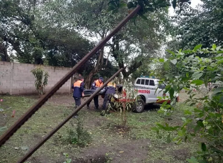  Un vecino trataba de podar un árbol, se cayó y murió en el lugar