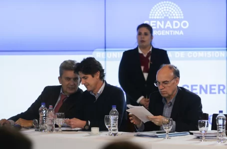 La UCR le presentará al Gobierno un punteo con modificaciones a la ley de Bases y el paquete fiscal