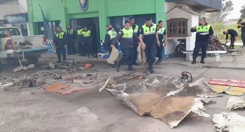  La policía detuvo a una banda que robaba ganado en el sur tucumano