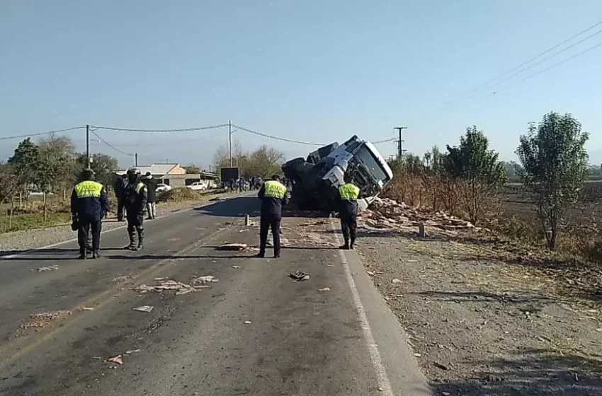  Un chico de 16 años falleció al chocar su moto contra un camión