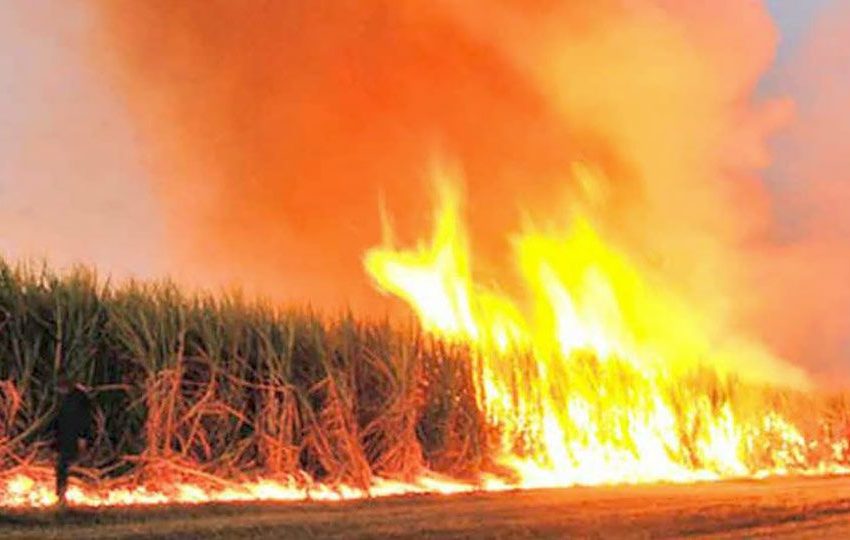  Especialistas del Conicet midieron el nivel de contaminación del aire en Tucumán: el resultado asusta