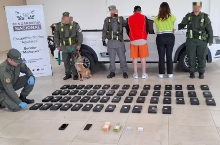 Detienen un vehículo que llevaba 60 kilos de cocaína en la ruta 307