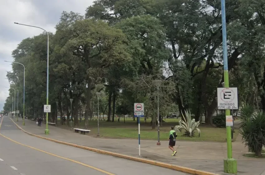  Usaron a un bebé de meses para ocultar lo robado a un transeúnte en el parque Avellaneda