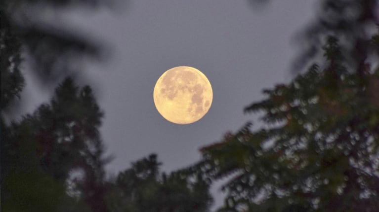  Qué nos traerá la última Luna llena del año y de qué manera aprovechar su energía al máximo