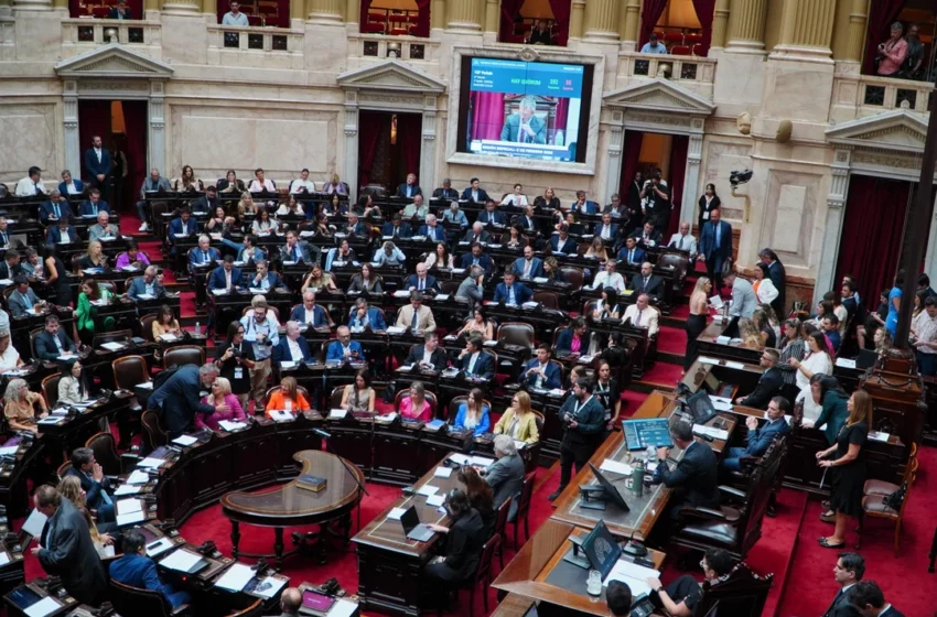  División en Unión por la Patria: 25 diputados votaron a favor de la suspensión de las PASO