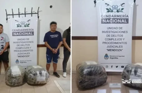 Dos operativos ubican a Tucumán al frente de la lucha contra el narcotráfico en la región NOA