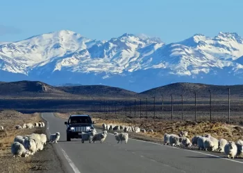 Ruta Nacional 40: Un viaje por los paisajes más impresionantes de Argentina