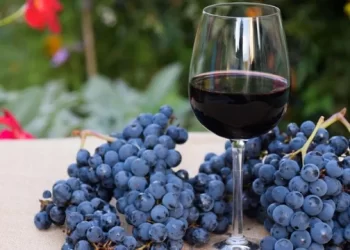 Aranceles de Trump: qué puede ocurrir con las exportaciones de malbec, estrella del vino argentino