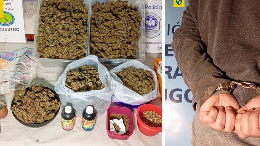 Cae un hombre con gran cantidad de marihuana en su domicilio