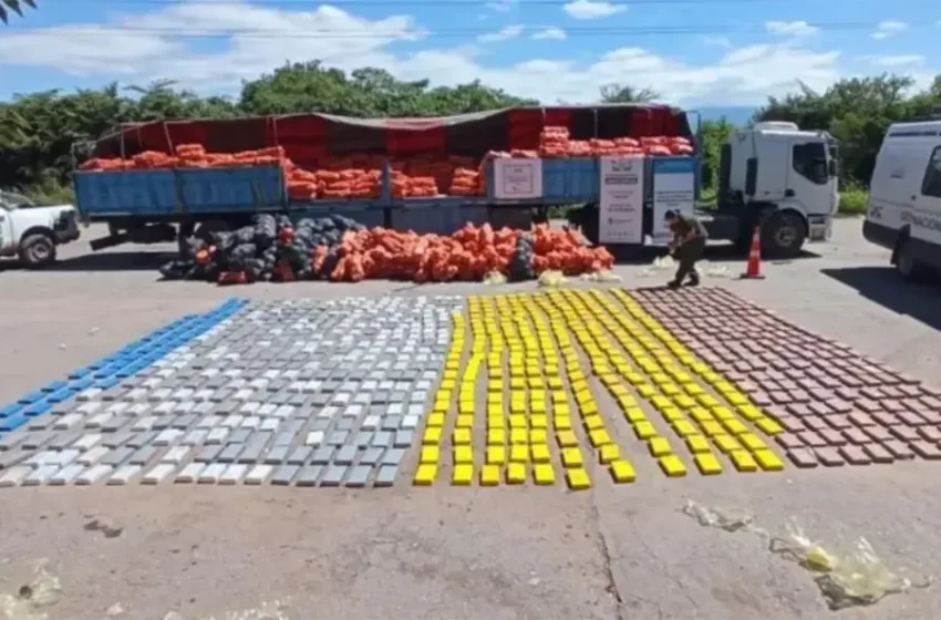 Las cifras confirman el éxito del Operativo Lapacho: el decomiso de droga creció 450 por ciento