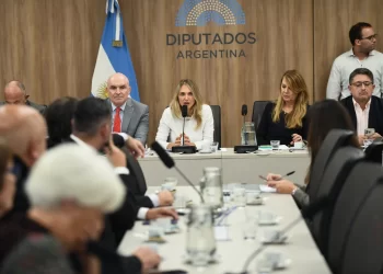 Avanza en Diputados un dictamen para ampliar la moratoria previsional y mejorar el bono a jubilados