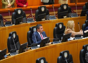 La Legislatura tucumana repudió la crítica situación del sector de discapacidad a nivel nacional