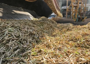 La zafra azucarera 2025 comienza a rodar en Tucumán con el ingenio La Florida a la cabeza