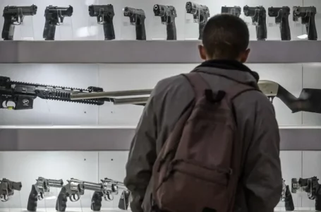 El Gobierno eliminó la reinscripción anual y la tasa obligatoria para usuarios legales de armas