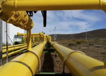 El Gobierno prorrogó por 20 años la licencia de Transportadora de Gas del Sur