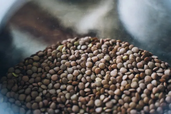 Lentejas: un alimento nutritivo, económico y clave para una dieta saludable