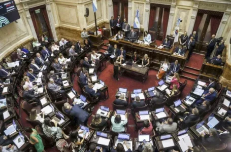 Senado: aprobación de leyes clave para jubilados y provincias profundiza el conflicto con el Gobierno