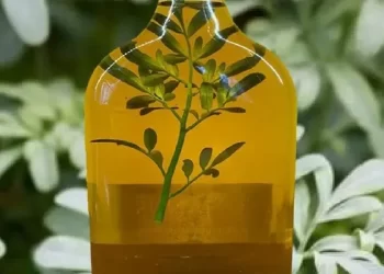 1° de agosto | Caña con ruda: una tradición ancestral que renueva energías y protege