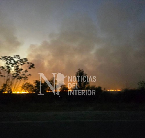 Queman malhoja a la vera de la ruta 308 y desatan un incendio