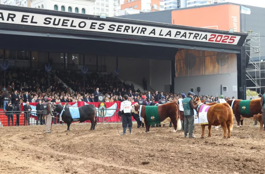 Retenciones: el anuncio de Milei divide y unifica opiniones en el campo