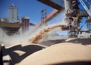 La liquidación de divisas por cereales creció 87% en junio y marcó un récord trimestral