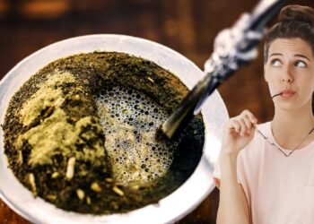 ¿Qué agregarle al mate para quemar grasa y bajar de peso?