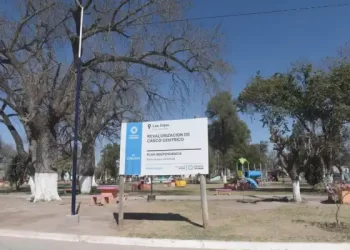 Crecen las denuncias contra la delegada comunal de Las Cejas