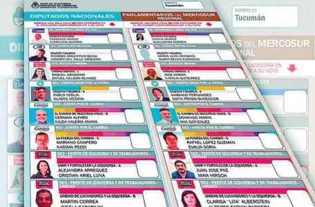 Elecciones en Tucumán: siete frentes y partidos en carrera para renovar bancas en Diputados