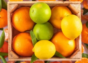 Cítricos: los aliados naturales para fortalecer la salud y prevenir enfermedades