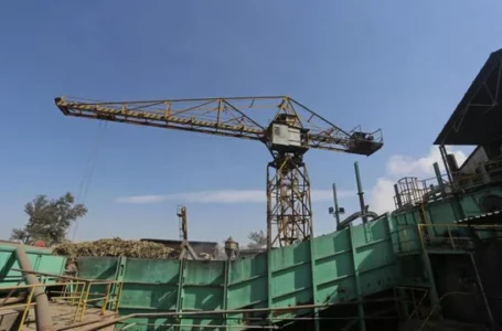 Zafra 2025: Argentina supera los 17 millones de toneladas de caña molida con fuerte aporte de Tucumán