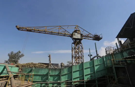 Zafra 2025: Argentina supera los 17 millones de toneladas de caña molida con fuerte aporte de Tucumán