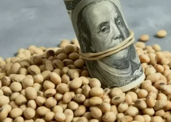 Las bolsas de cereales piden que la eliminación de retenciones sea permanente