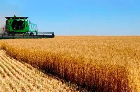 La Sociedad Rural de Rosario pidió a Milei una baja “inmediata y sustancial” de las retenciones