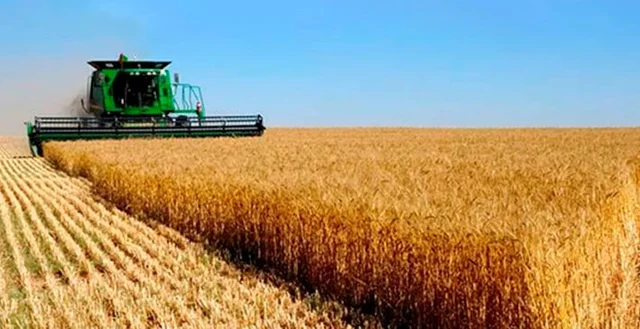 La Sociedad Rural de Rosario pidió a Milei una baja “inmediata y sustancial” de las retenciones