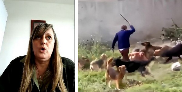 Secretaria de Seguridad de Yerba Buena apunta a la Justicia: «Detienen a los acusados de robos, pero quedan libres en 24 horas»