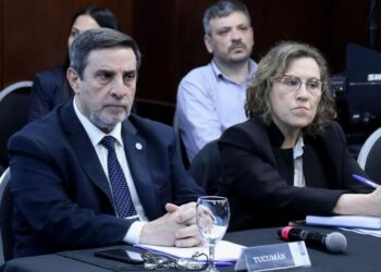 Medina Ruiz participó de la reunión del Consejo Federal de Salud